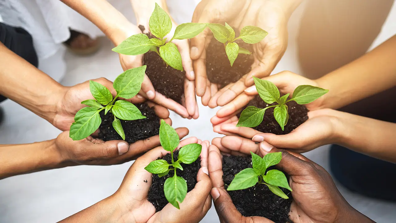 Environmental Sustainability